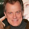 Stephen Collins