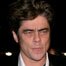 Benicio Del Toro 