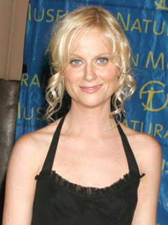 Amy Poehler picture wallpaper