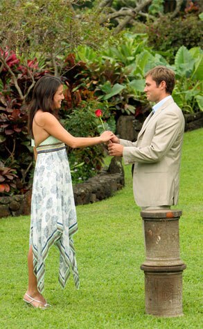 The Bachelor The Bachelor