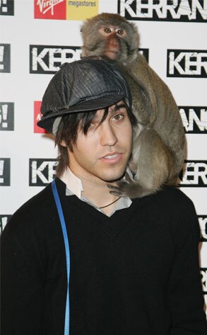 Pete Wentz