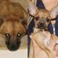 Margo, Tinkerbell