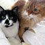 Butch &amp; Cleo