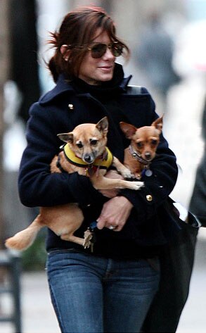 Sandra Bullock