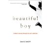 Beautiful Boy by David Sheff