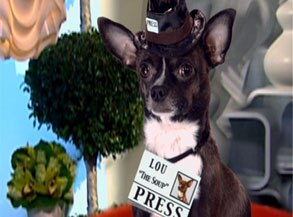 PressLou