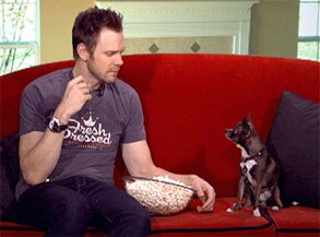 Joel McHale, Lou