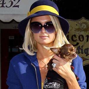 Paris Hilton