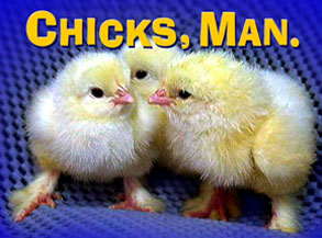 http://images.eonline.com/eol_images/Entire_Site/20080523/293h.chicks.man.052308.jpg