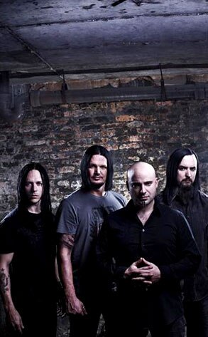 Disturbed