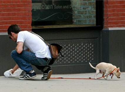 Elijah Wood