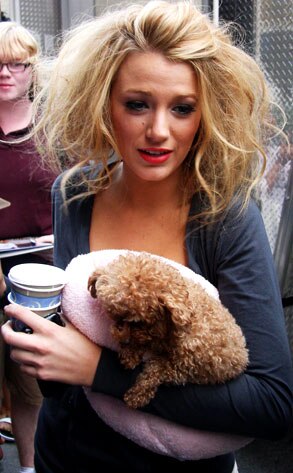 Blake Lively