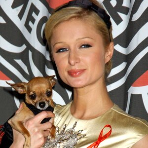 Paris Hilton