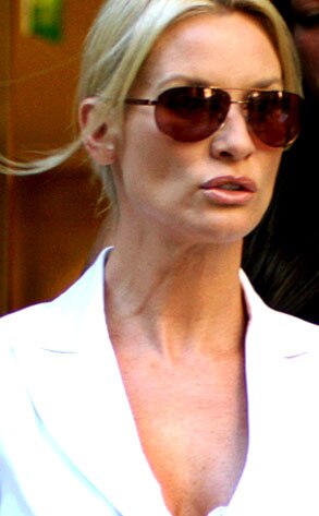 Nicollette Sheridan Nicollette Sheridan