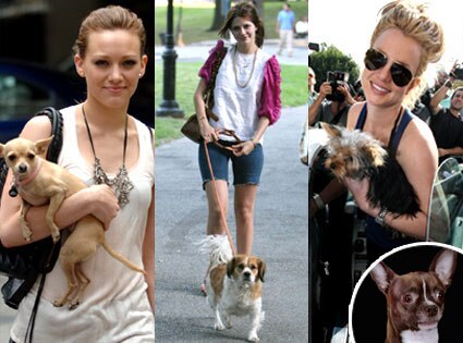 Hilary Duff, Mischa Barton, Britney Spears, Lou