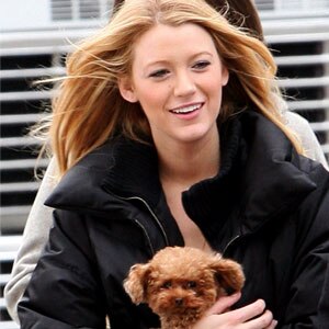 Blake Lively