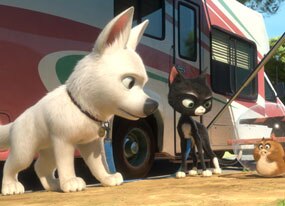 Bolt
