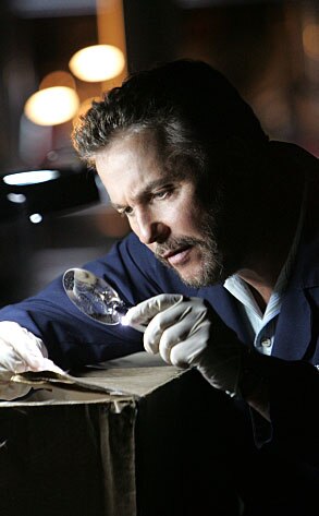 William Peteresen, CSI William Peteresen, CSI