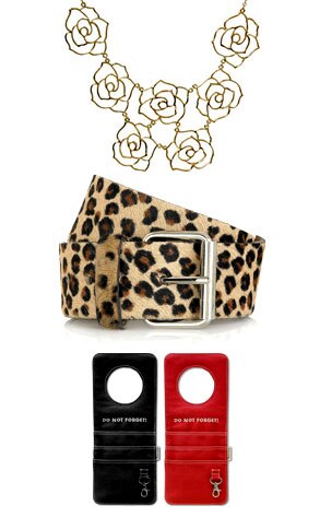ASOS Short Cut-Out Rose Necklace, Sonia by Sonia Rykiel Leopard Print Belt, Fred Flare Doorganizer