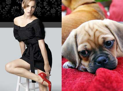 Natalie Portman, Dog