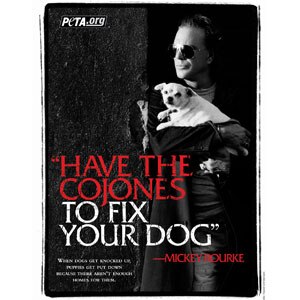 Mickey Rourke