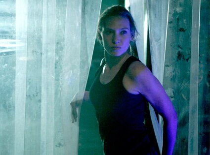 Anna Torv, Fringe