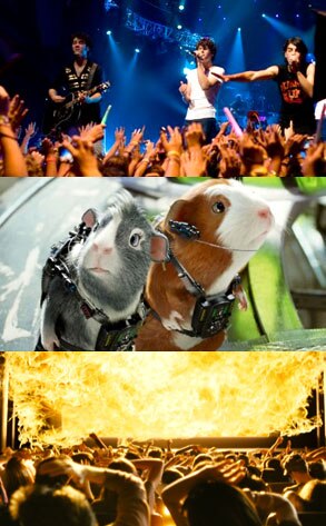 Jonas Brothers 3D, G-Force, My Bloody Valentine 3D