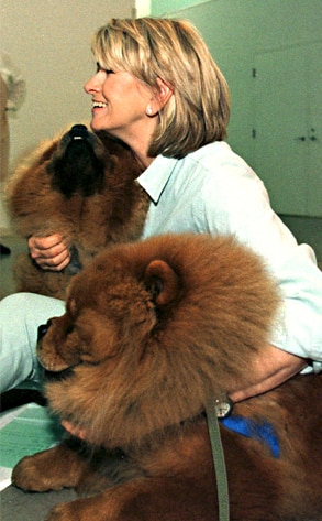 Martha Stewart