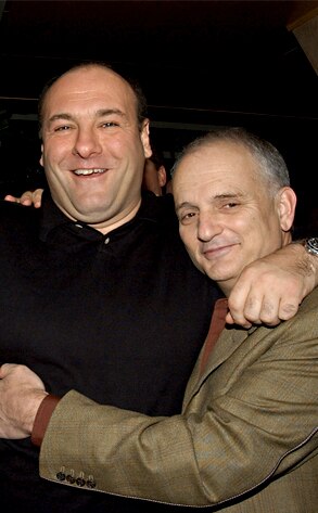 James Gandolfini, David Chase