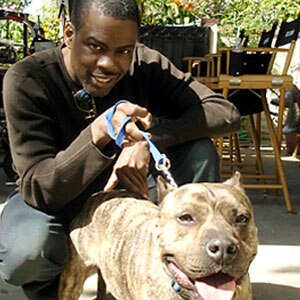 Chris Rock, Sugar
