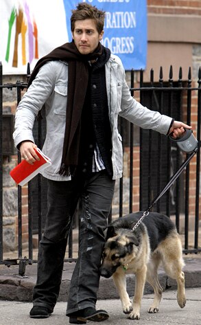 Jake Gyllenhaal