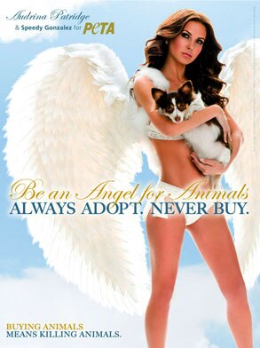 Audrina Patridge, PETA Ad