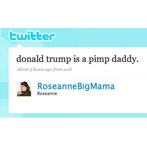 Roseanne's Twitter