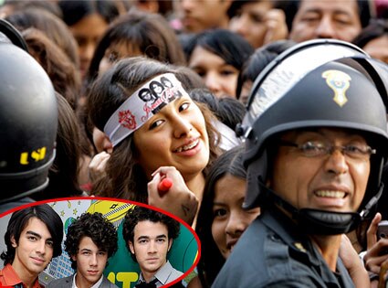 Jonas Brothers, Concert Crowd