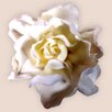 Torrid Flower Hair Clip