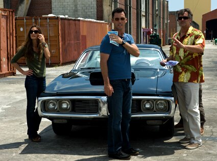 Gabrielle Anwar, Jeffrey Donovan, Bruce Campbell, Burn Notice