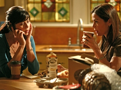 Catherine Bell, Kim Delany, Army Wives