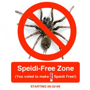 Speidi Free Graphic, Heidi Montag, Spencer Pratt, Heidi Pratt