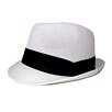 Fashion Cap Fedora