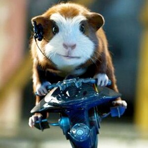 G-Force