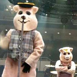 Jonas Brothers' Twitter Picture