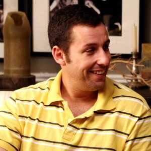 Adam Sandler, Funny People