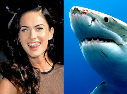 Megan Fox, Great White Shark