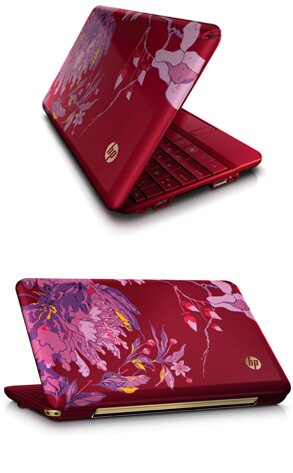 Vivienne Tam HP Laptop