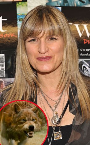 Catherine Hardwicke, Werewolf