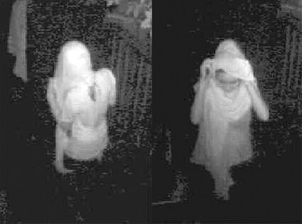 Lindsay Lohan Burglars