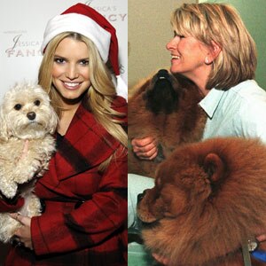 Jessica Simpson, Daisy, Martha Stewart, Chin Chin, Paw Paw