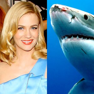 January Jones, Shark