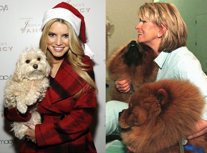 Jessica Simpson, Daisy, Martha Stewart, Chin Chin, Paw Paw