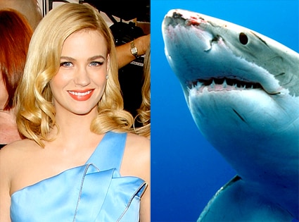 January Jones, Shark